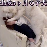 ひたすら耐える妹さん