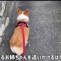 「帰るの？じゃあ私も！」
