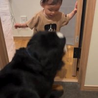 謎の言葉を放った赤ちゃん