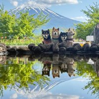 逆さ富士