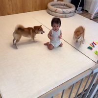 決して息子さんにぶつからない！