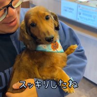 トリミングでイメチェン成功♪
