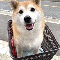ニコニコ