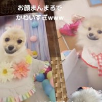 もう1枚も、とってもキュート