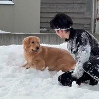 おもちゃは使わない