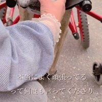 とっても嬉しそう♡