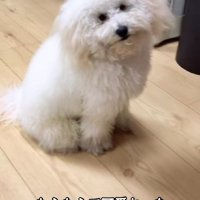 想定外の姿に！？