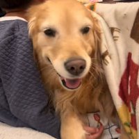 子どもたちのことが大好き