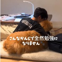犬を抱きしめる男の子