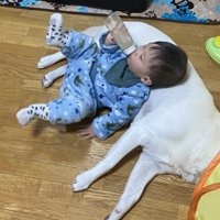 枕になってあげることも