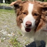 笑顔のリーちゃん