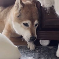 できないことが増えた