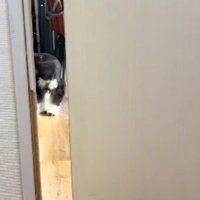 照れくさそうに去って行った