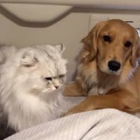 離れられない♡