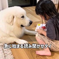 普段からとても仲良し