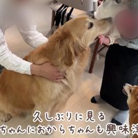 気になって仕方ない…