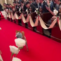 ご夫婦を見つけると…