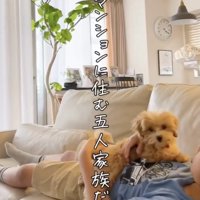 ぬいぐるみより小さなエルちゃん