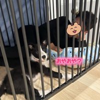 ルークくんと旦那さん4