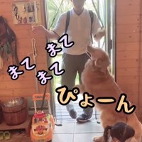 お兄ちゃん帰宅時のボスくん＆ルナちゃん2