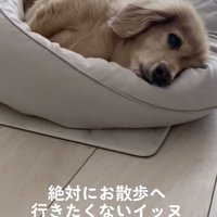 一点を見つめてる