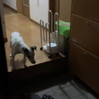 胸が痛む瞬間も…