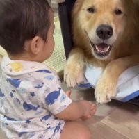 オレオくんと赤ちゃん5