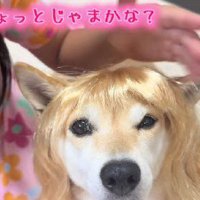 前髪に拘ります♪