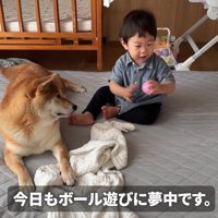 むぎちゃんと男の子