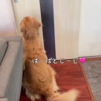 サンちゃんの熱烈歓迎4