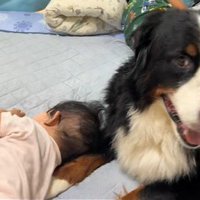 コロンと転がって…