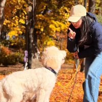 アグちゃんをお迎えするまで9