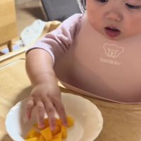 柿に初挑戦