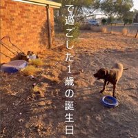 リバくんが2歳になるまで3