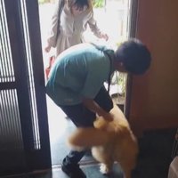 お兄ちゃんは再び帰省