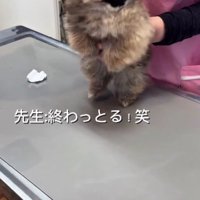 文句が止まらない！