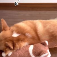 枕にしてしまうことも