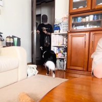 恐る恐る近づいて…