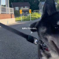 そのままご家族に激突！