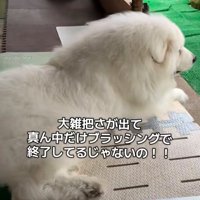 芸術的仕上がり