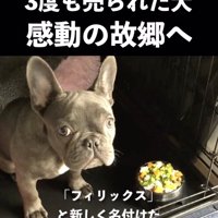 心機一転