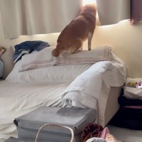 「おばあちゃんち行くの！？」