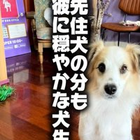 ダニエルくんとの数ヶ月間7