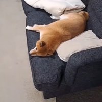 トイレから戻ったら…