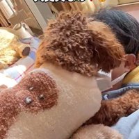 パパさんが熱でダウンした時のポポくん2