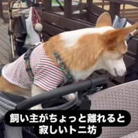 健気な姿にほっこり