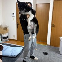 巨大化した姿も愛おしい♪