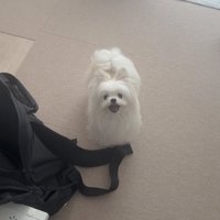 ニコニコ