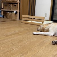 「やれやれ、やっと行ったか」
