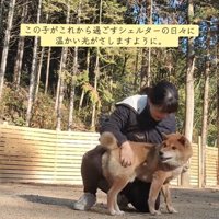褒められる犬